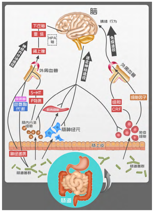 非凡国际(中国区)-官方网站