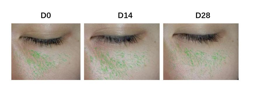 非凡国际(中国区)-官方网站