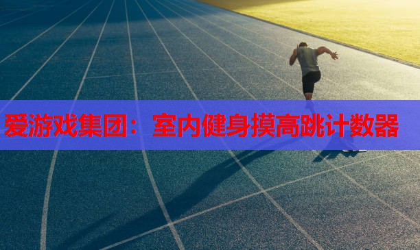 室内健身摸高跳计数器 室内健身摸高跳计数器